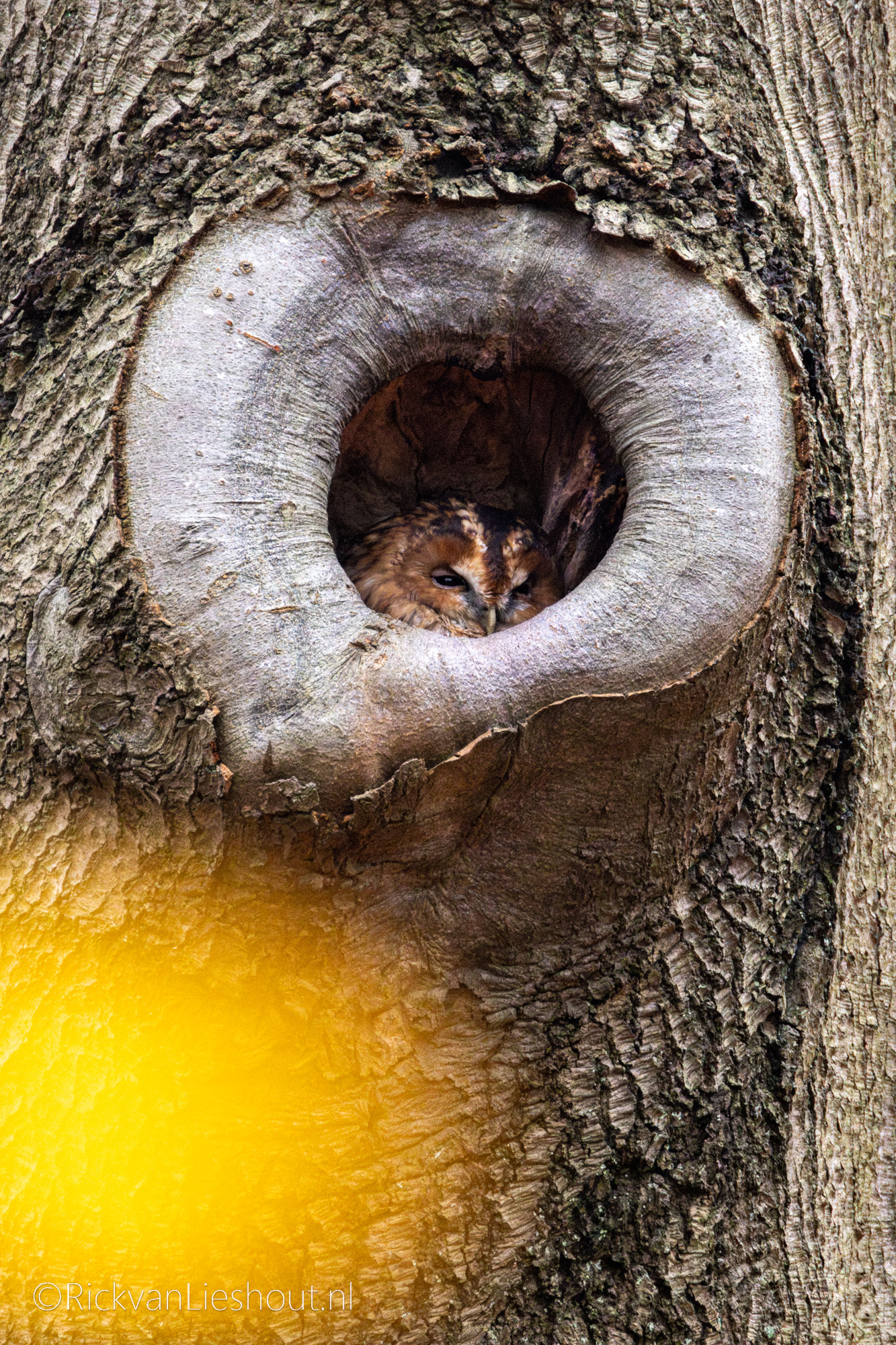 When Life Comes Into Focus