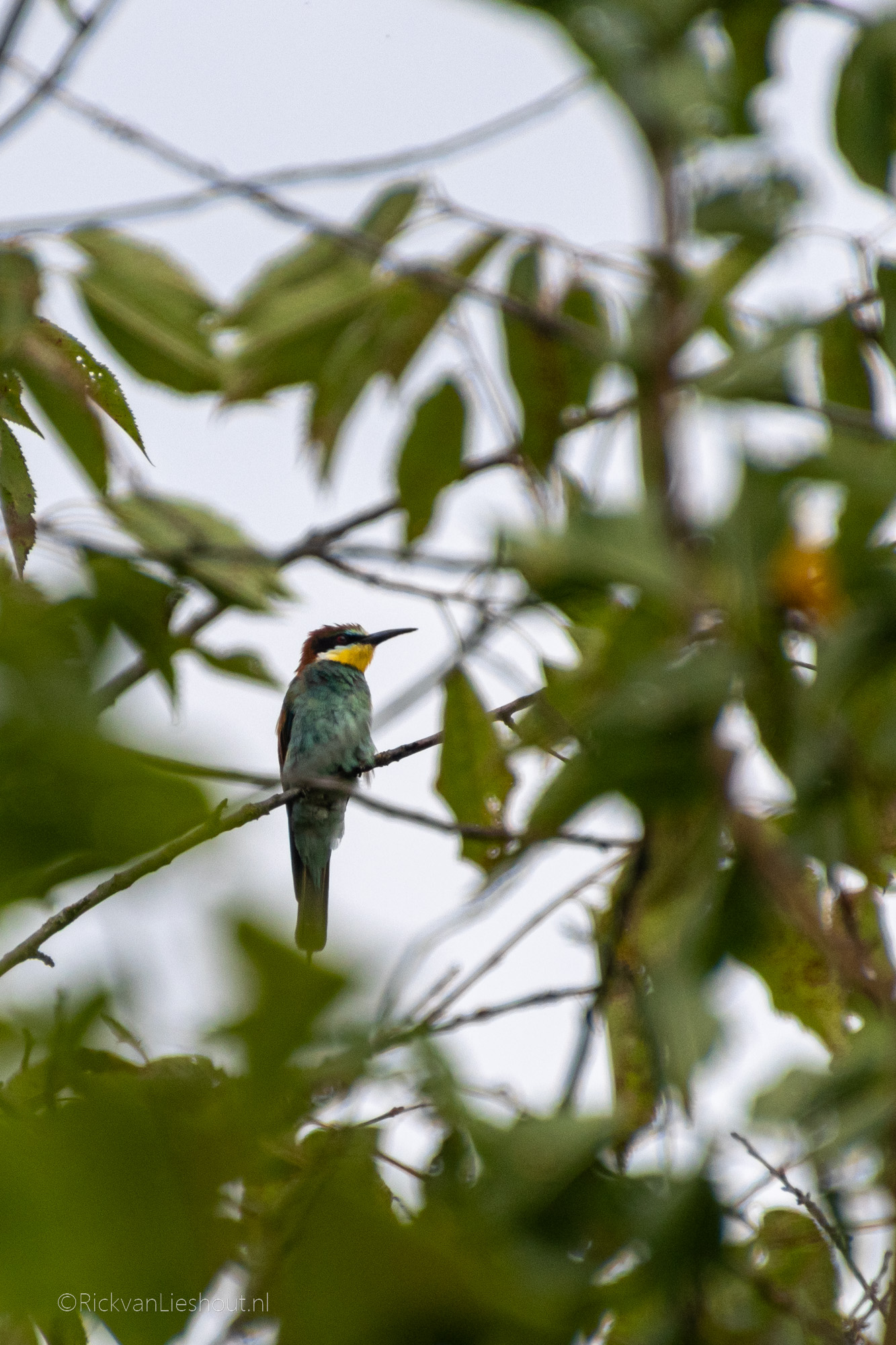 Summer holiday 2025 – Italy